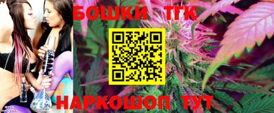 прущие грибы Заводоуковск