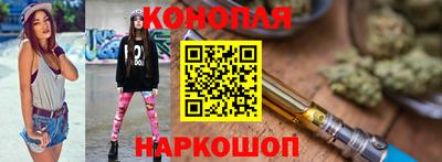 прущие грибы Заводоуковск